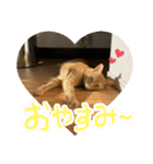 べべちょ❤︎（個別スタンプ：4）
