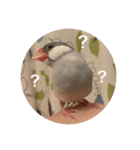 ぶんたんと愉快な仲間たち（個別スタンプ：1）