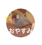 ぶんたんと愉快な仲間たち（個別スタンプ：4）