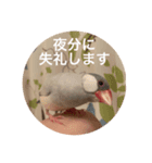ぶんたんと愉快な仲間たち（個別スタンプ：5）