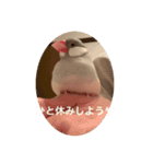 ぶんたんと愉快な仲間たち（個別スタンプ：6）