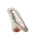 ぶんたんと愉快な仲間たち（個別スタンプ：14）
