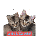 びっきなあんこ2（個別スタンプ：2）