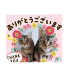 びっきなあんこ2（個別スタンプ：7）
