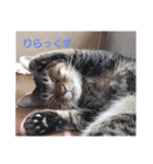 びっきなあんこ2（個別スタンプ：15）