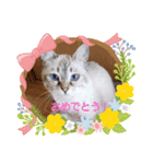 びっきなあんこ2（個別スタンプ：16）