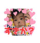 ようたん☆すたんぷ4（個別スタンプ：1）