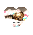 ビビstamp（個別スタンプ：3）
