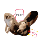 武居familiar1（個別スタンプ：10）