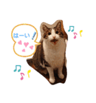 武居familiar1（個別スタンプ：19）