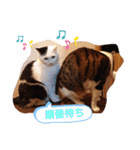 武居familiar1（個別スタンプ：25）
