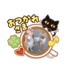 武居familiar1（個別スタンプ：37）