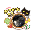 ワンワンスタンプ #2（個別スタンプ：3）