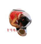 erikatheory（個別スタンプ：1）