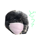 ブラックアニマル（個別スタンプ：9）
