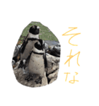 ブラックアニマル（個別スタンプ：14）