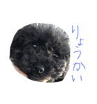 ブラックアニマル（個別スタンプ：16）