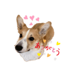 パル1歳（個別スタンプ：5）