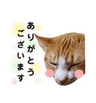 ちろの毎日（個別スタンプ：9）