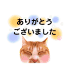 ちろの毎日（個別スタンプ：11）