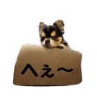 ラムセス（個別スタンプ：7）
