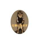 ラムセス（個別スタンプ：12）