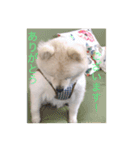 ばななの千路2（個別スタンプ：1）