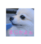 ばななの千路2（個別スタンプ：5）
