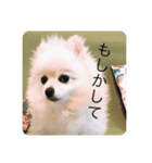 ばななの千路2（個別スタンプ：11）