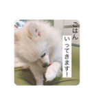ばななの千路2（個別スタンプ：16）