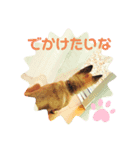愛犬トロ太郎（個別スタンプ：4）