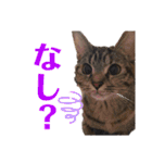 ヴォルしゃん（個別スタンプ：6）