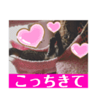 ヴォルしゃん（個別スタンプ：25）