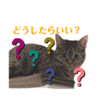 ヴォルしゃん（個別スタンプ：26）