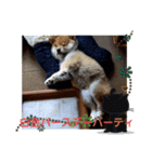 海(かい)の日常2（個別スタンプ：12）