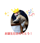 海(かい)の日常2（個別スタンプ：16）