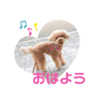 めるちゃんのすたんぷ（個別スタンプ：2）