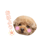 めるちゃんのすたんぷ（個別スタンプ：3）