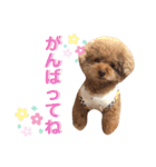 めるちゃんのすたんぷ（個別スタンプ：9）