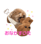 めるちゃんのすたんぷ（個別スタンプ：12）