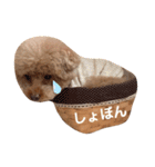 めるちゃんのすたんぷ（個別スタンプ：14）
