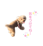 めるちゃんのすたんぷ（個別スタンプ：22）