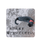 我が家のクロネコ（個別スタンプ：6）