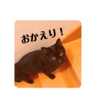 我が家のクロネコ（個別スタンプ：7）