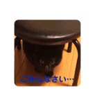 我が家のクロネコ（個別スタンプ：11）