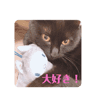 我が家のクロネコ（個別スタンプ：15）