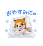 猫のにゃん吉☆マスコットスタンプ 01（個別スタンプ：2）