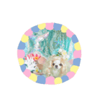 Lili＆Melスタンプ（個別スタンプ：14）