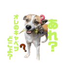 オレの名はテツ。（個別スタンプ：8）
