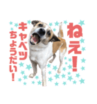オレの名はテツ。（個別スタンプ：9）